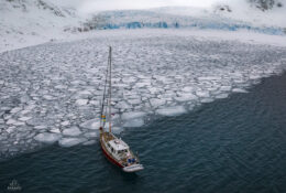 Spitsbergen_2025 (15/78)